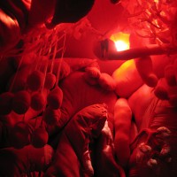 Interactive sculptures